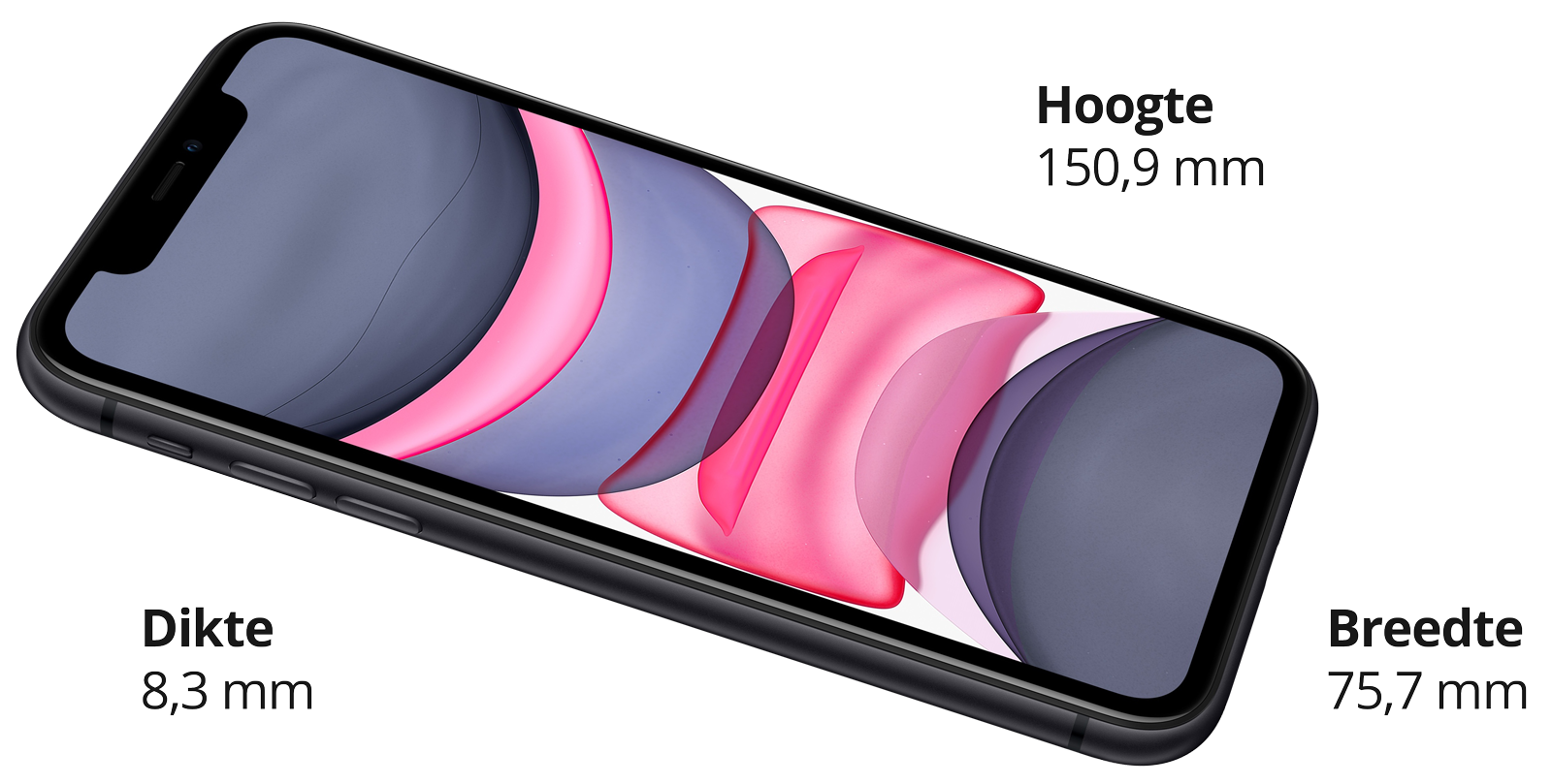 opladen Opgetild Waarneembaar iPhone 11 afmetingen, hoe groot is een iPhone 11? | Fixje